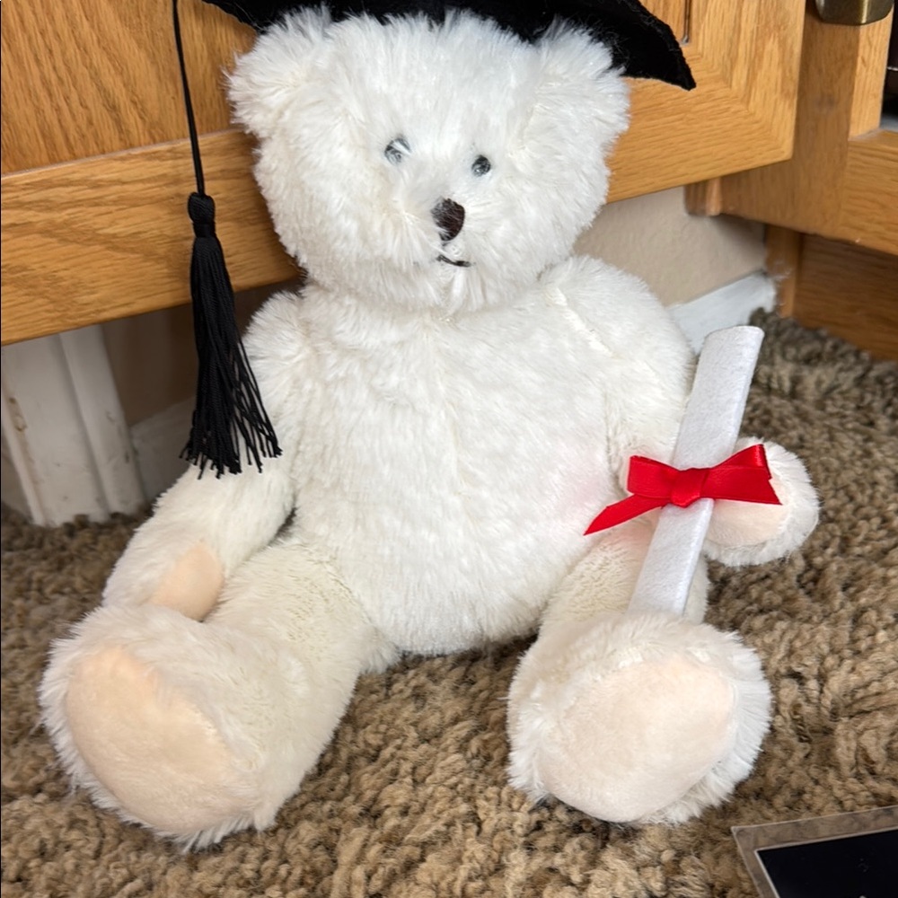Graduation
 Teddy Bear 
Cap and Diploma